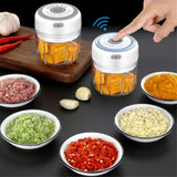 Mini Electric Chopper - WAYLO-BARGAINS