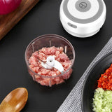 Mini Electric Chopper - WAYLO-BARGAINS